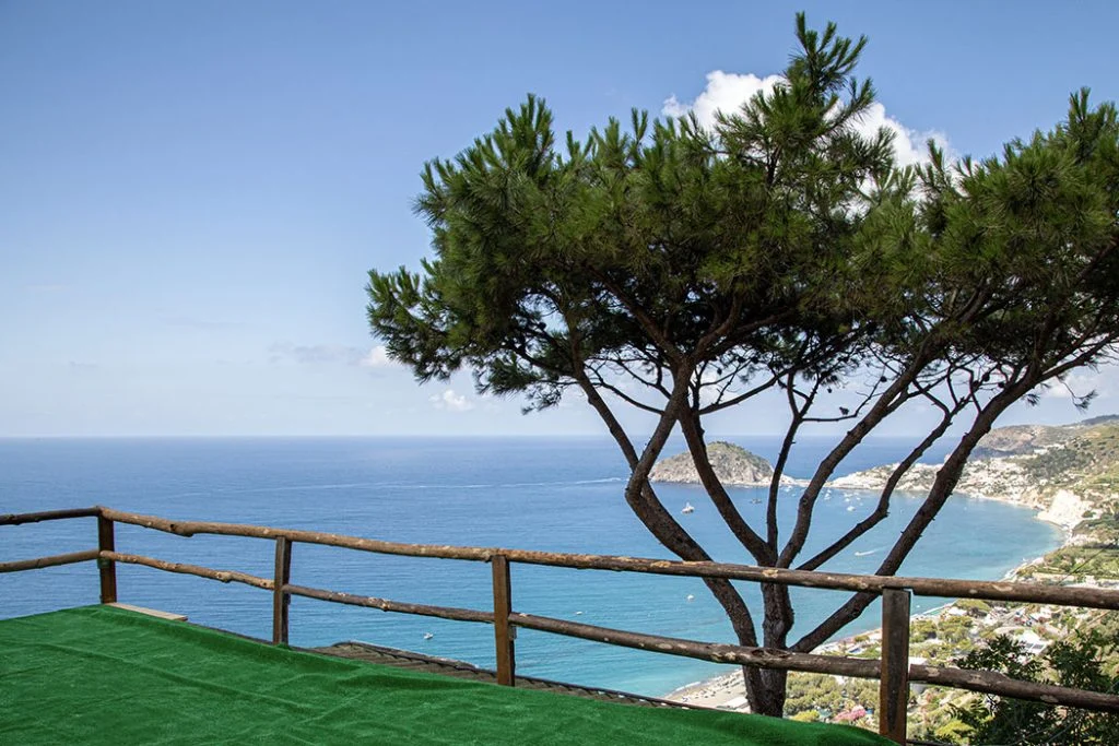 Il pino e la staccionata del belvedere sopra la baia dei Maronti